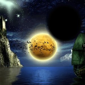 Meet your Posher, Marissa